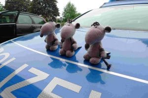 Angebote der Vbst. Hamm